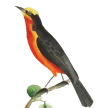 22.png