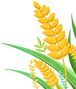 06.png